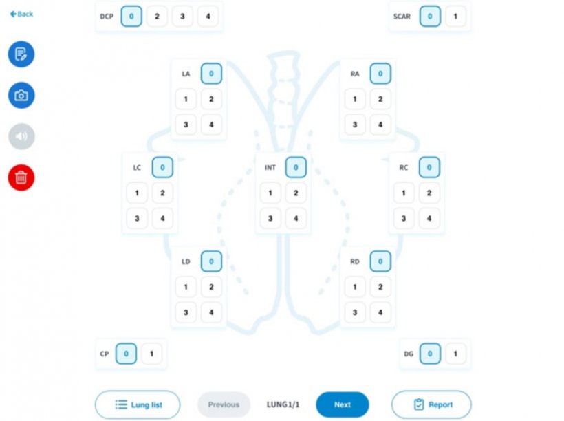 Figure 2. Digital software used for assessment.&nbsp;The parts of the lungs rated on a point scale included the left apical lobe, left cardiac lobe, left diaphragmatic lobe, intermediate lobe, right diaphragmatic lobe, right cardiac lobe, right apical lobe, as well as areas affected by cranial pleurisy, dorso-caudal pleurisy, and the presence of scars.
